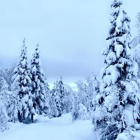 Beautiful Cabin Close To Dom wakacyjny